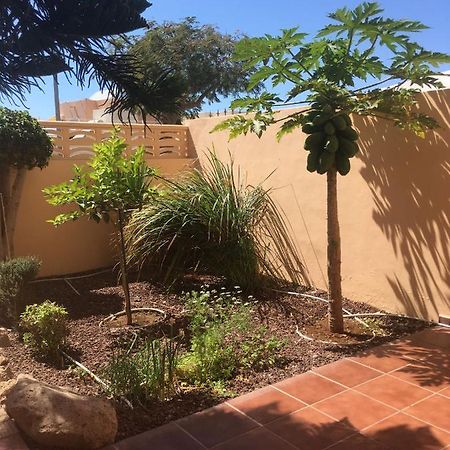 Independiente Estudio En Acogedora Casita De Mai Costa Adeje  Extérieur photo