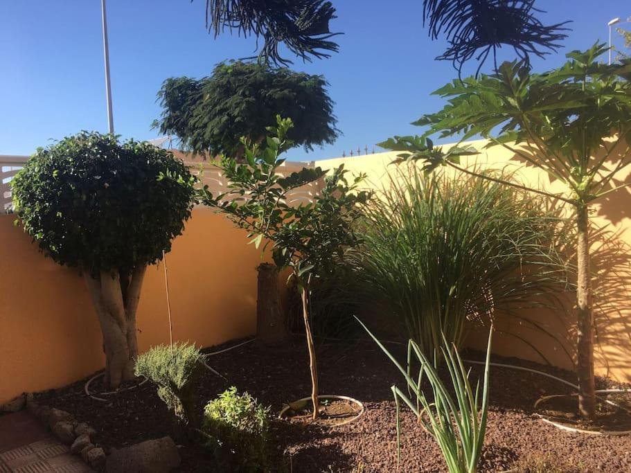 Independiente Estudio En Acogedora Casita De Mai Costa Adeje  Extérieur photo