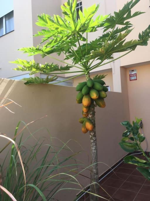 Independiente Estudio En Acogedora Casita De Mai Costa Adeje  Extérieur photo
